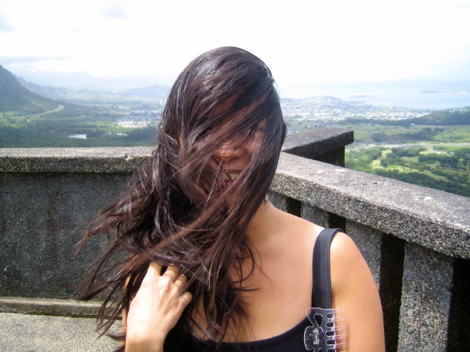 Nuuanu_Pali_Lookout_Oahu_parking_fee