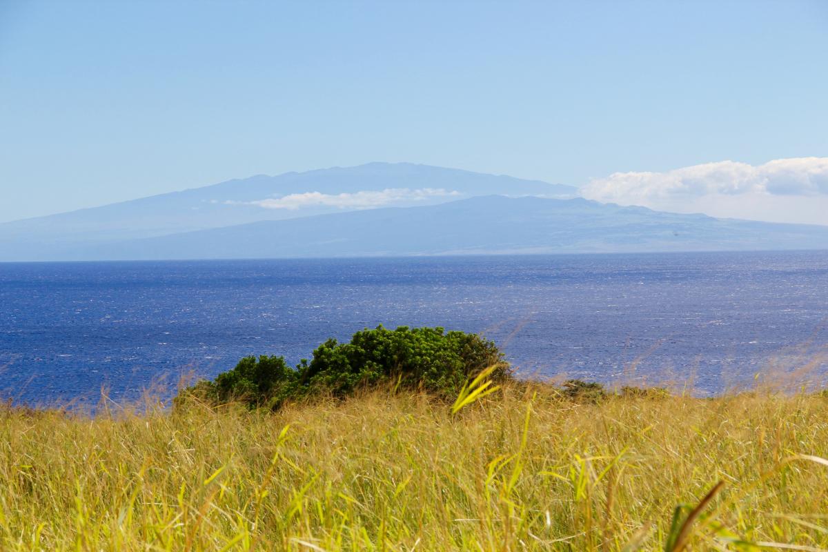 other road to hana maui