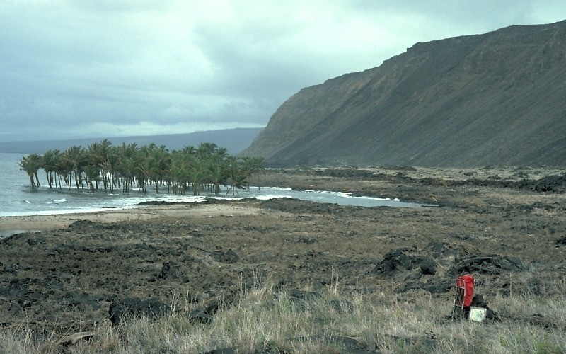 tsunami_Hilo_Big_Island_Hawaii