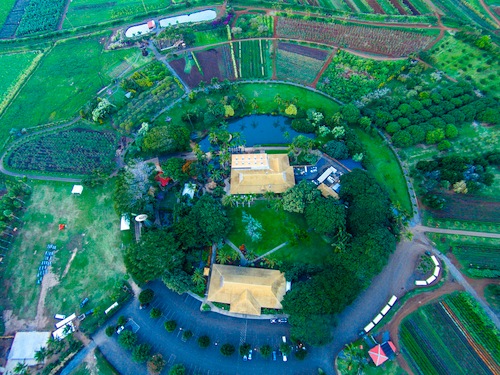 first_maui_makahiki_wailuku