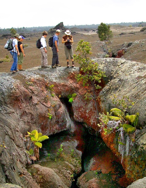 Hawaii_volcano_Kilauea_lava_hike