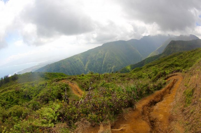 waihee ridge trail maui
