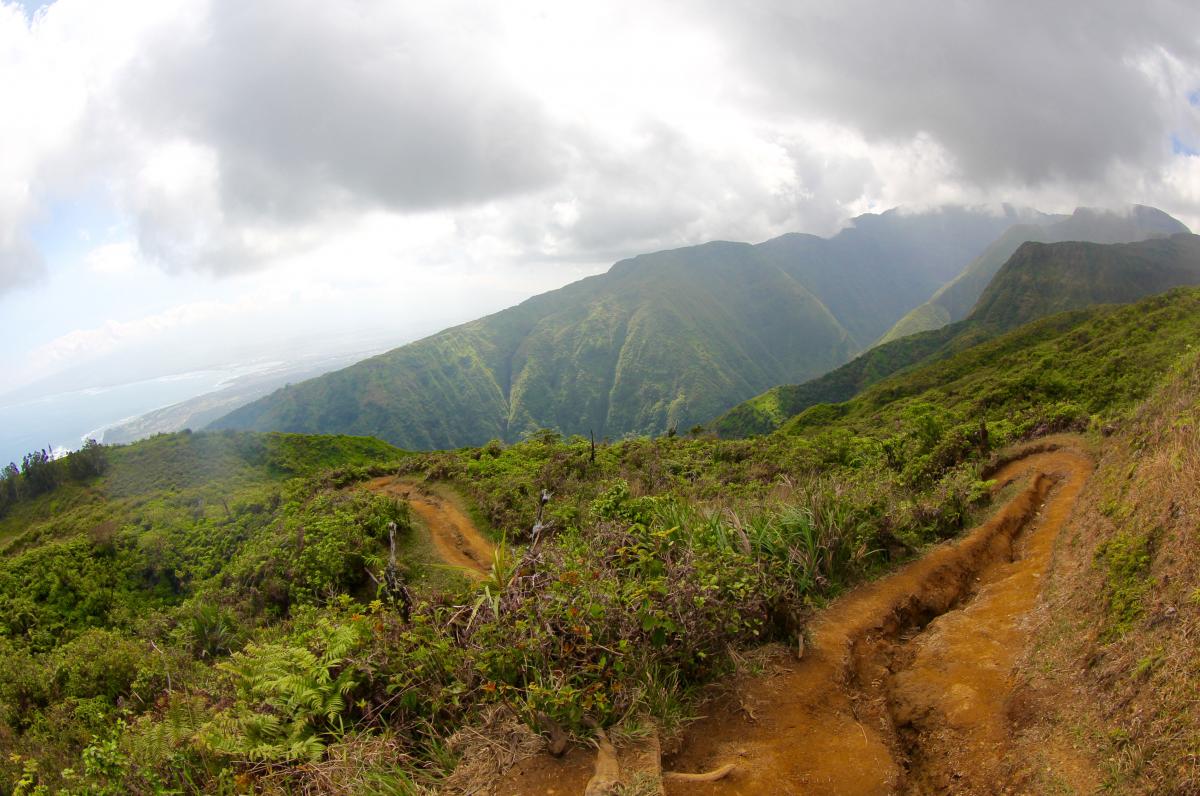 waihee ridge trail