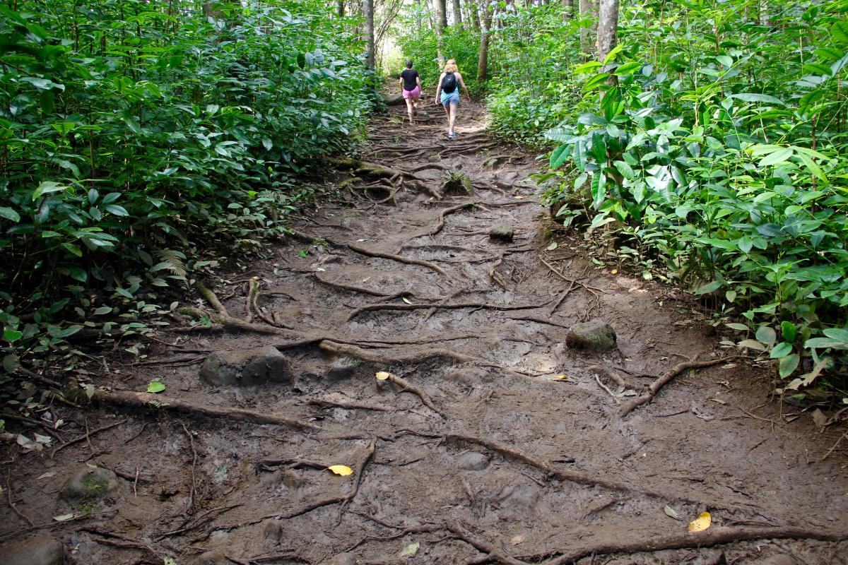 waihee trail maui