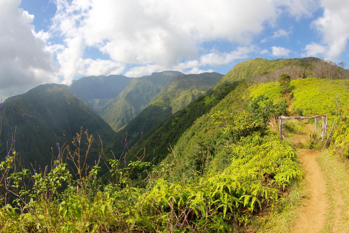 waihee ridge trail maui