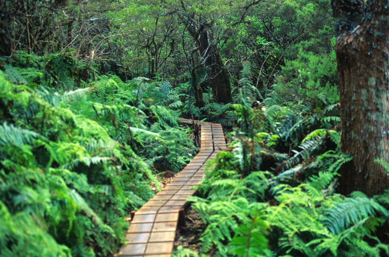 untouched_Hawaii_natural_wonders_preserved_forever untouched_Hawaii_natural_wonders_preserved_forever