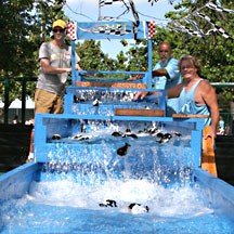 Whale_Day_Maui_weekend Whale_Day_Maui_weekend