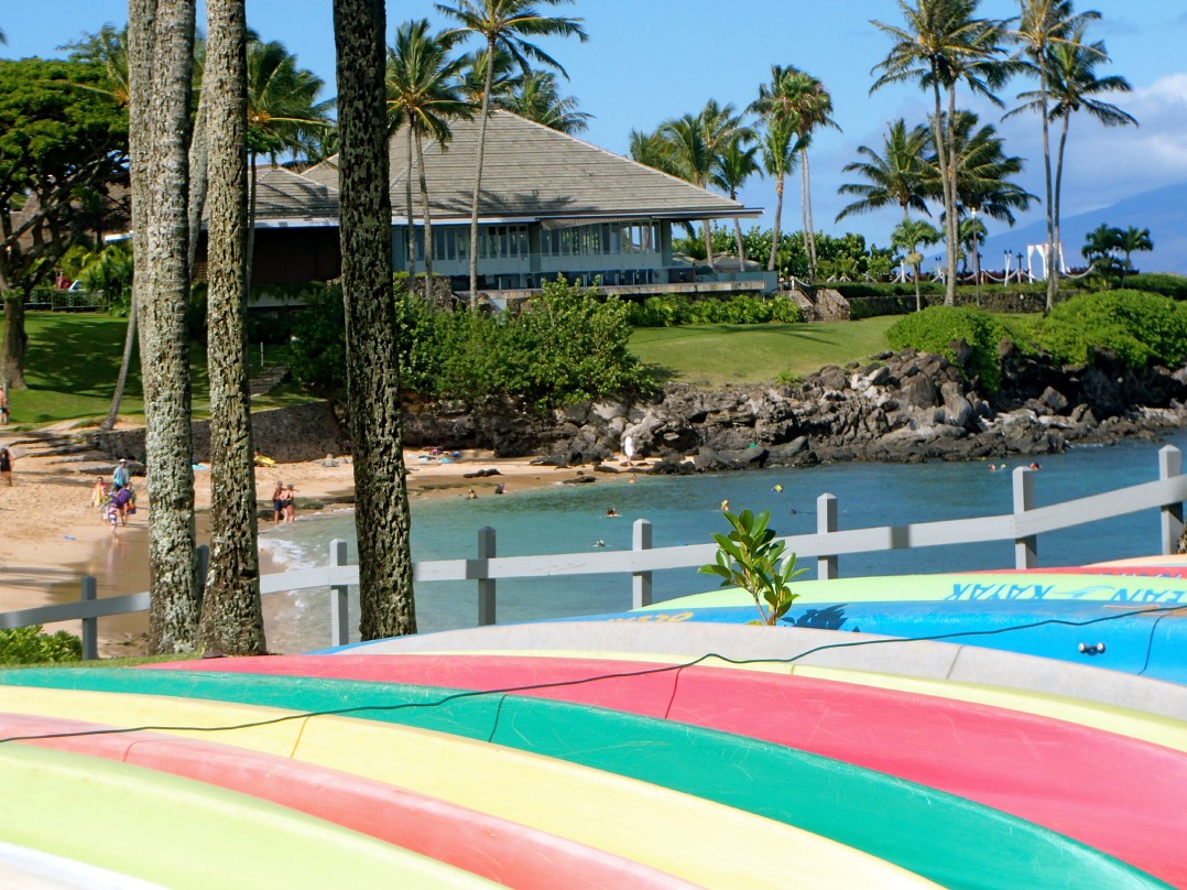 Hawaii_Maui_Kapalua_wine_festival