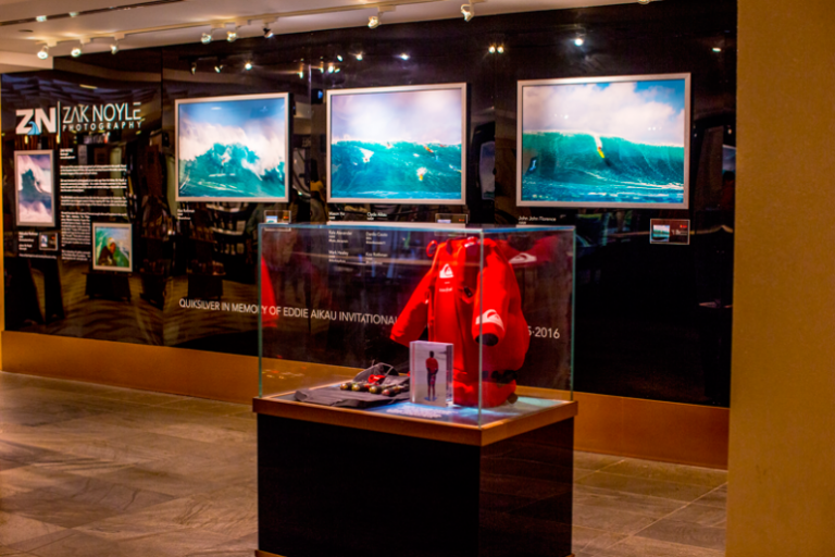 the eddie zak noyle gallery