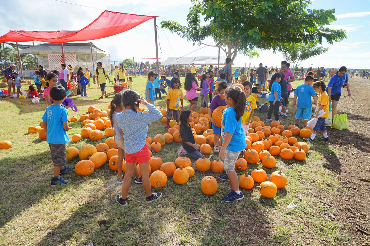 pumpkin fest