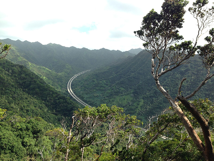  /><figcaption>The view of Halawa Valley from the trail.<br />
<em>Photo by Christine Hitt</em></figcaption></figure>
</div>
<p>Aiea Loop’s best view comes roughly midway through the hike from a small lookout point. It’s a bird’s eye view of the H-3 highway, intersecting the Koolau Mountain range. The highway took decades to build, and today remains one of the most expensive highways built, on cost per mile basis; the project totaled $1.3 billion, or approximately $80 million per mile. It’s a great—but windy—spot to take in views of Windward Oahu and picture the emerald mountains before the road was paved.</p>
<p>&nbsp;<!-- Simple Share Buttons Adder (8.5.3) simplesharebuttons.com --></p>
<div class=