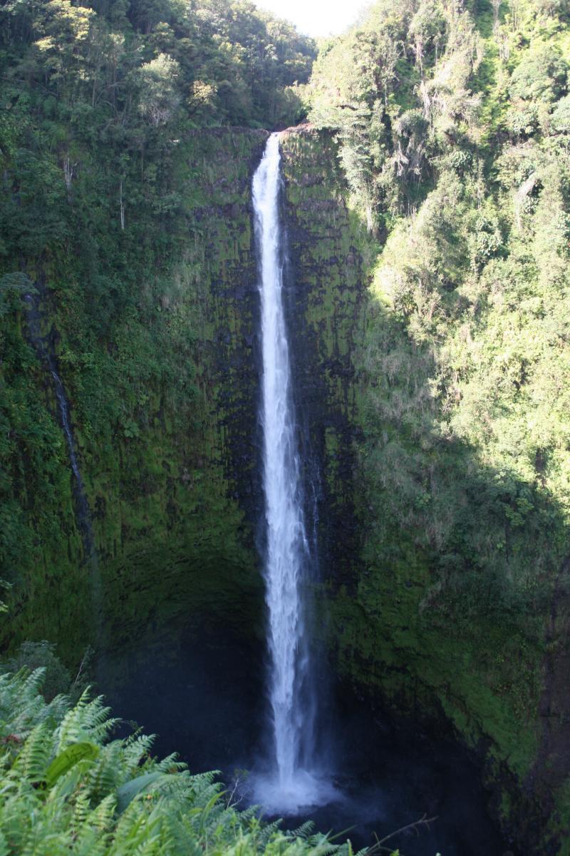 akaka falls hawaii
