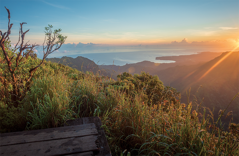  /><figcaption>Kilohana Lookout, at the end of the trail.<br />
<em>Photo: Mallory Roe</em></figcaption></figure>
</div>
<p>There’s a mist that settled over the expansive bog, with wispy clouds swirling around you. We walked in silence along the boardwalk through the wet forest, over thick gray clay and among dwarfed trees, toward the Kilohana Lookout, a small platform perched 4,030 feet above Kauai’s northwest shore. It took us about five hours to reach it. (Birding was a bit distracting!) We stopped for lunch and breathed in the stunning views of Wainiha Valley and the crescent-shaped Hanalei Bay dotted with whitecaps.</p>
<p>As we sat there, marveling at the clear vista that’s usually shrouded in clouds, a friendly ‘elepaio hopped on a branch nearby and tilted its little brown head at us. Before I could grab my camera, the bird disappeared, flying down the sheer cliffs and out of sight.</p>
<p>Though I missed the chance to capture an image of that rare moment, my memory of that little bird—and everything else we experienced here—was really enough.<br />
<em>Pihea Trail and Alakai Swamp Trail to Kilohana Lookout, Kokee State Park, end of Kokee Rd., Kauai. <a href=