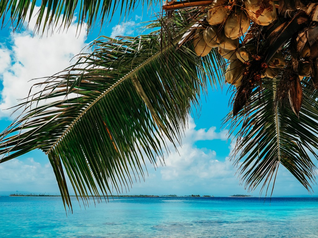 aljoscha-laschgari-ZrELIllxQBs-unsplash