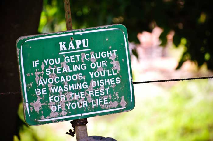 hawaii signs