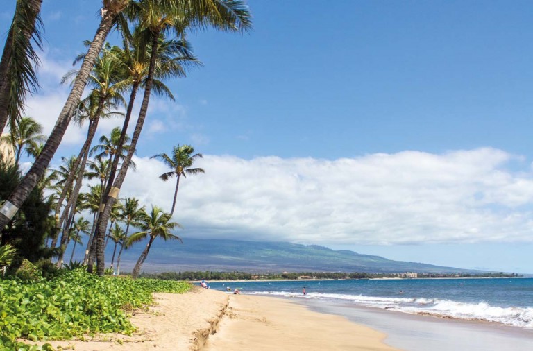 winter in hawaii