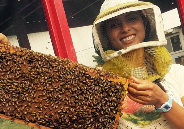 big island bees tour
