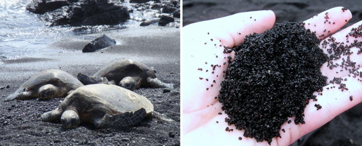 black-sand-beach-hawaii-punaluu