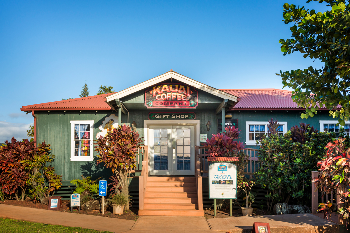 kauai-coffee-things-to-do-farm-tours