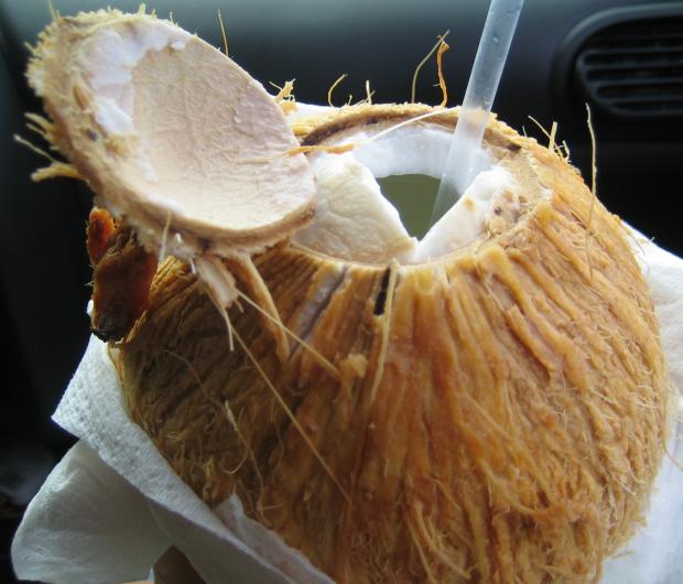 coconut