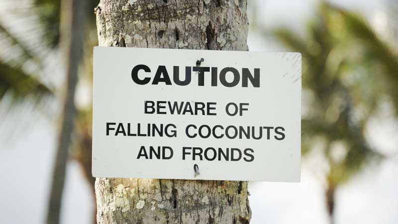 hawaii signs