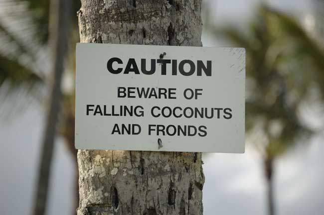 hawaii signs