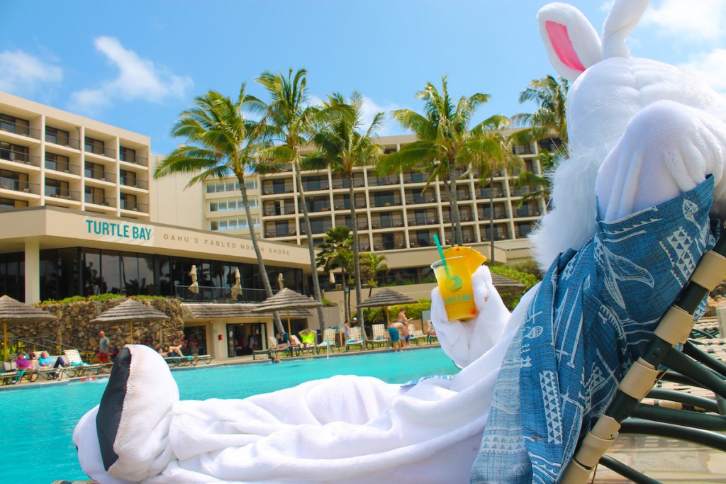 easter2019-turtlebay