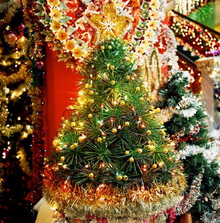 Hawaii_Kauai_Christmas