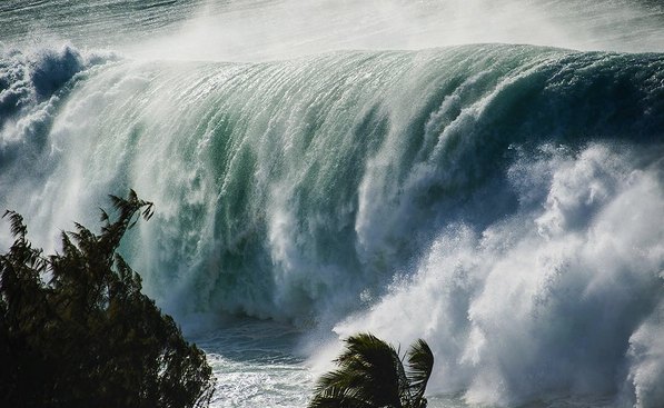 haleiwa swell hawaii 2016