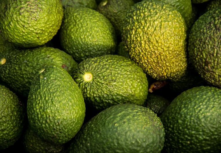 big island hawaii avocado varieties