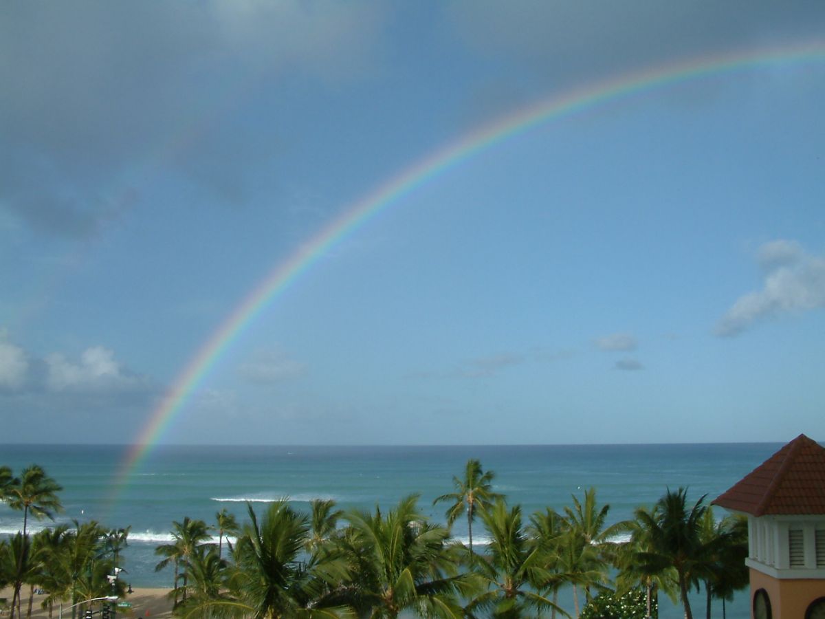 hawaii rainbows