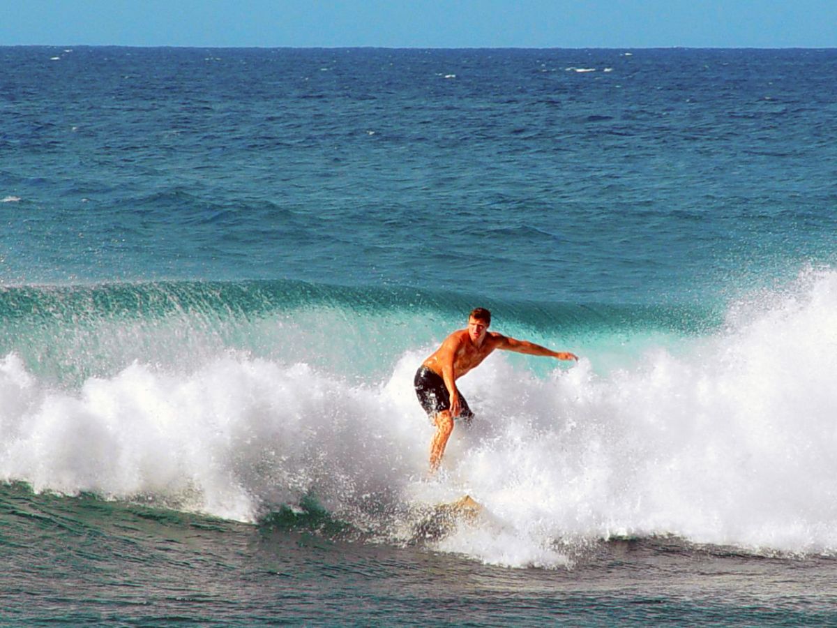 hawaii surfing