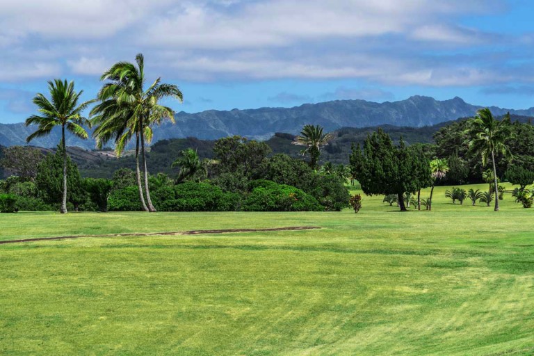 kauaigolf