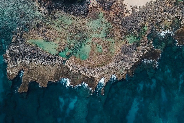 kidsoutdoors-sharkscove