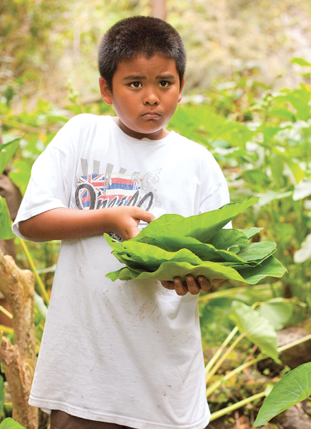 waipio valley hawaii