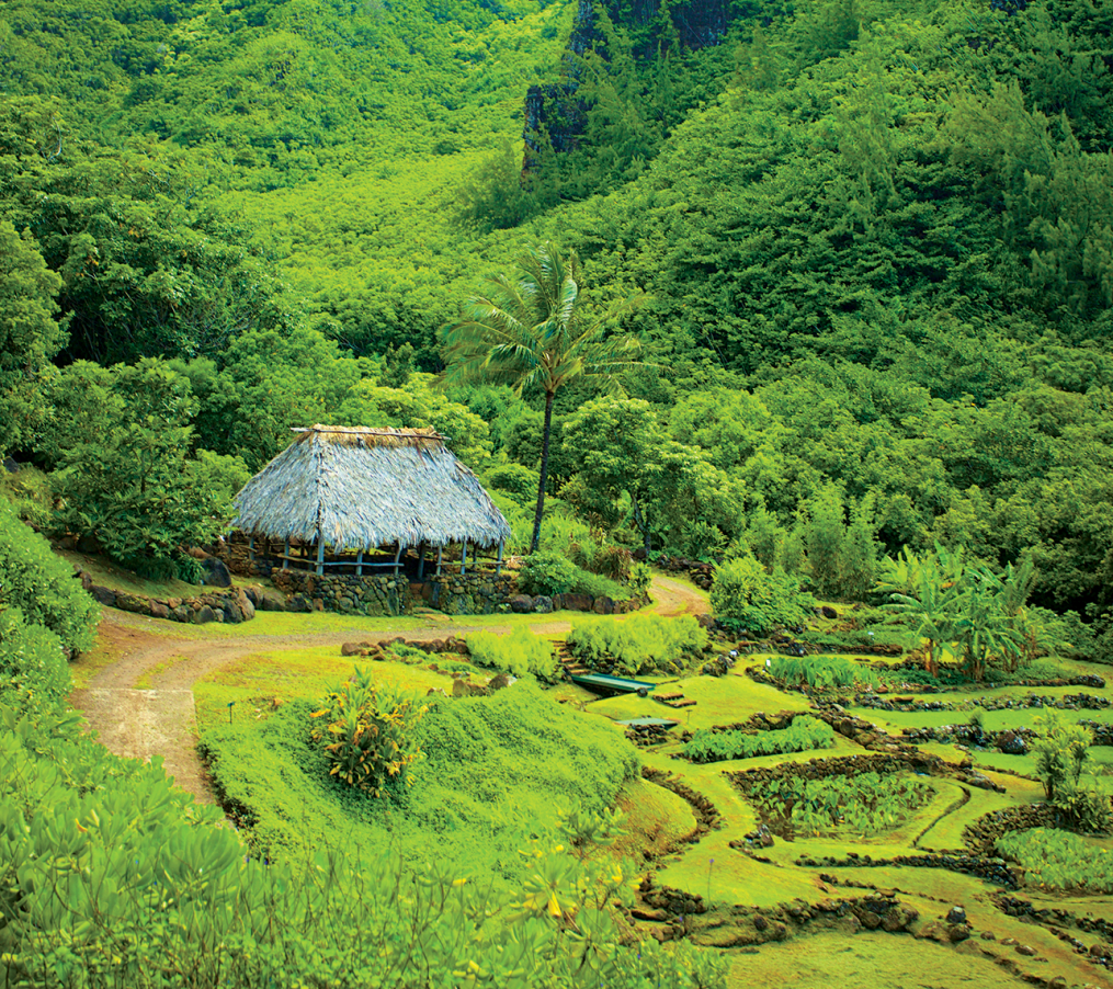 limahuli garden preserve kauai