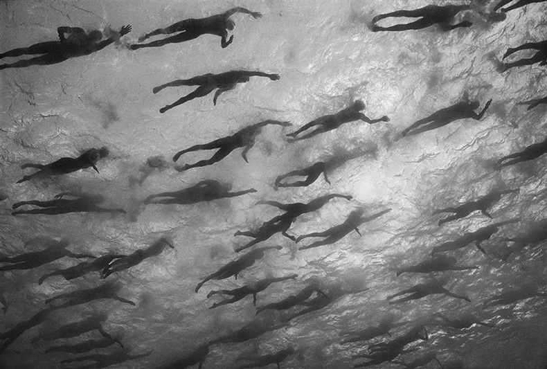 wayne-levin-underwater-photography