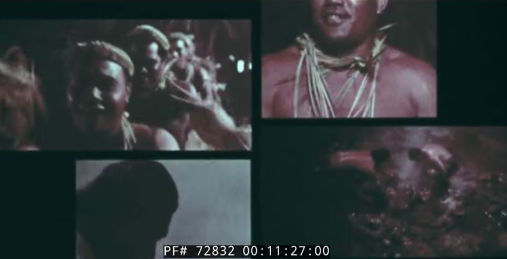 vintage hawaii travelogue