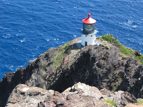 Hawaii_Maui_Oahu_Kauai_whales