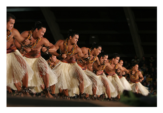 merriemonarch