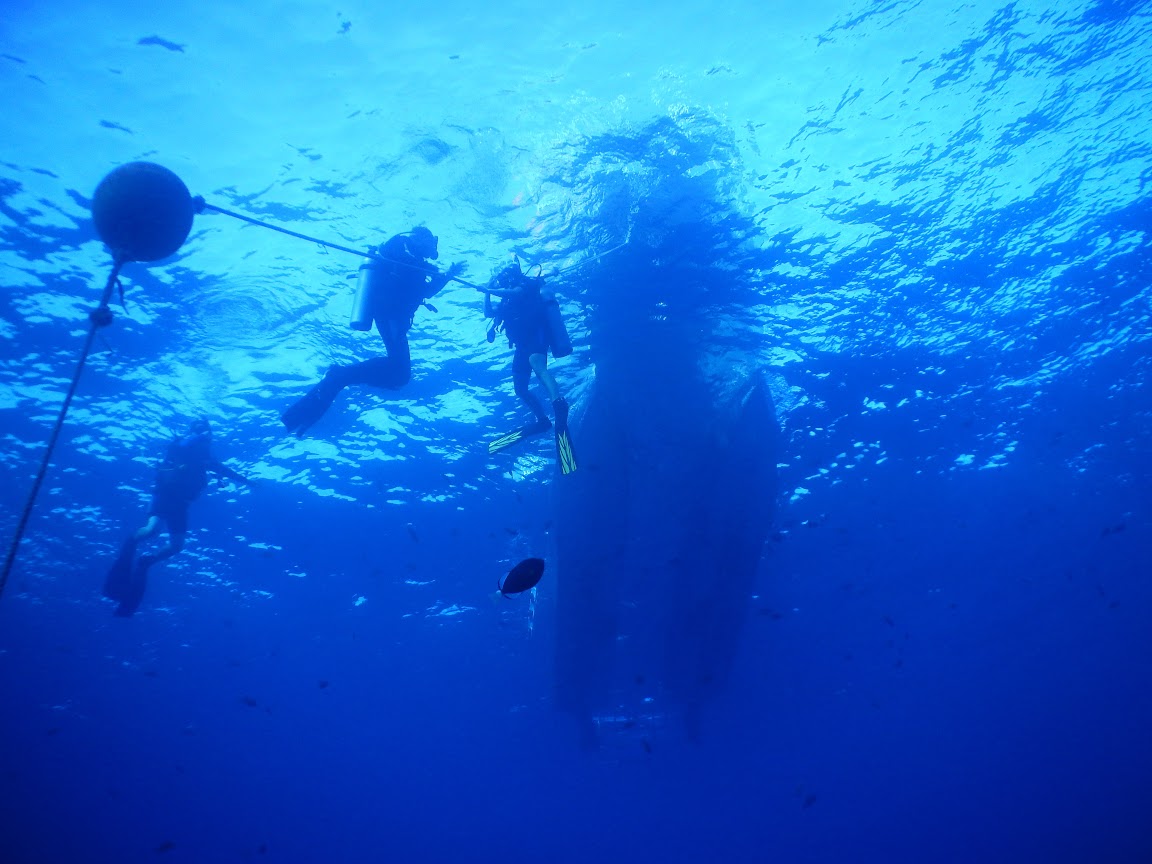 molokini diving