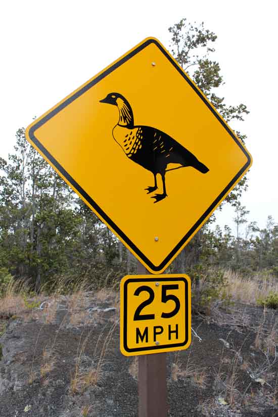 hawaii signs