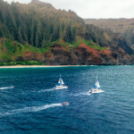 Blue Dolphin Charters