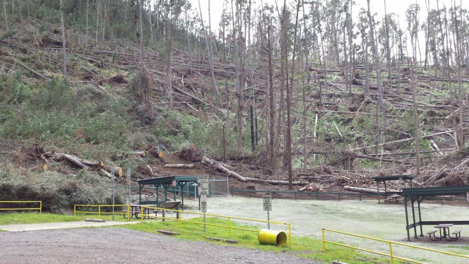 oBp2wbGaNagHcRZ81ZUf0piQR8G7uP4Z-MUvg1uCcTw,TPvF2ZeSWzIyJtpjRRSFi4TR3A4GtEzI3s8WzFvsJGM