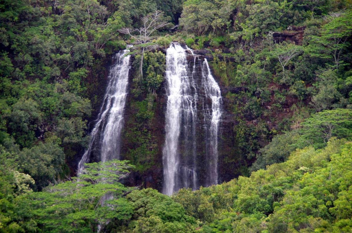 opaekaa falls kauai