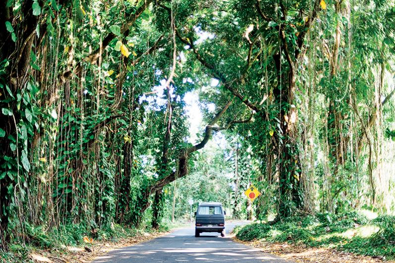 Red Road in Puna, Hawaii Island