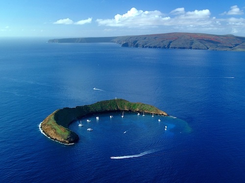Hawaii_Google_Streetview_Reef_Underwater_Molokini_Hanauma