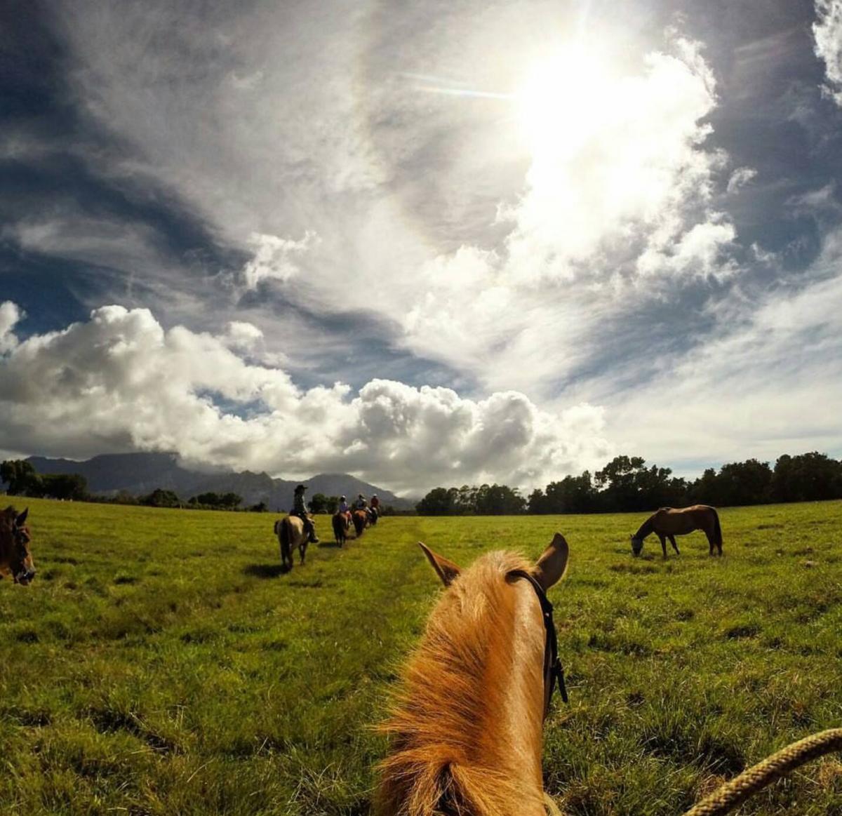 princeville horseback riding