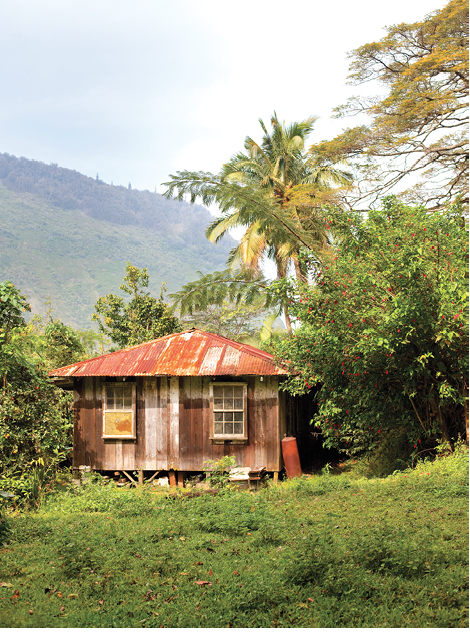 waipio valley hawaii