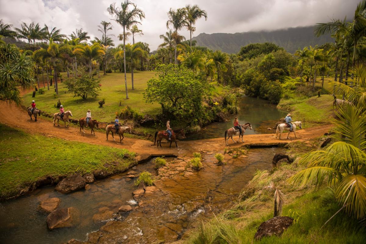 silver falls ranch kauai